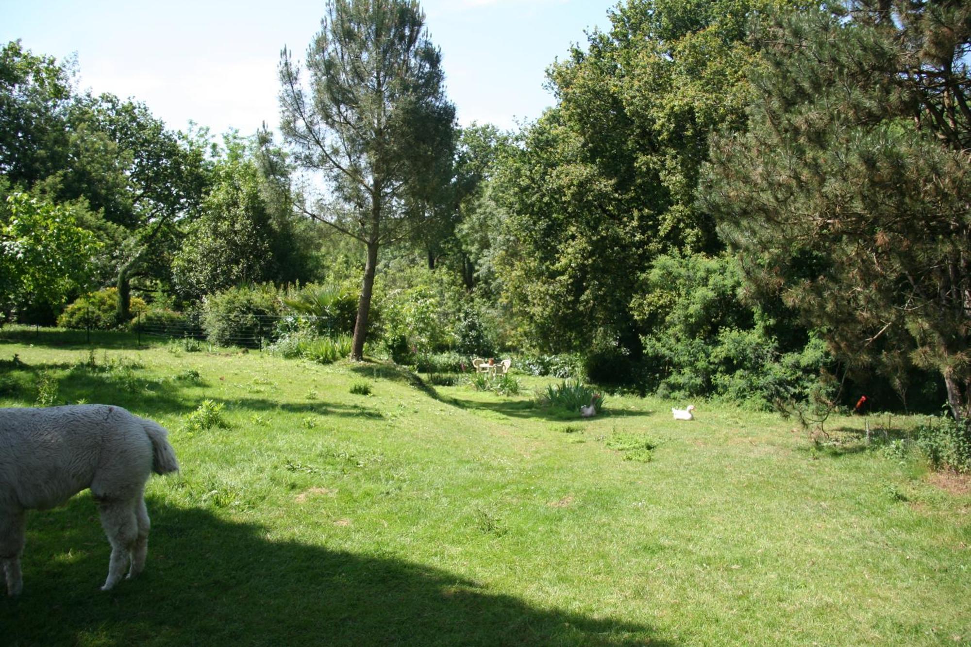 Une Chambre A La Campagne Basse-Goulaine Exterior photo