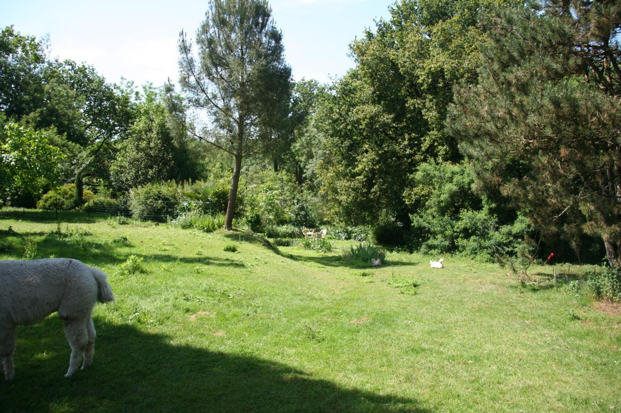 Une Chambre A La Campagne Bed & Breakfast Nantes Exterior photo